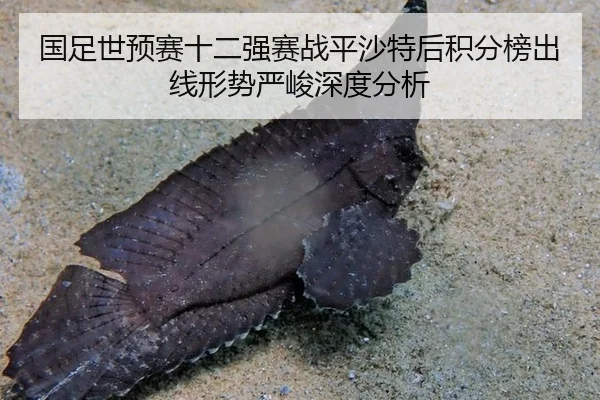 guo-zu-shi-yu-sai-shi-er-qiang-sai-zhan-ping-sha-te-hou-ji-fen-bang-chu-xian-xing-shi-yan-jun-shen-du-fen-xi-2-960.jpg